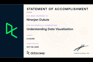 Image of Understanding Data Visualization